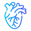 Cardiology
